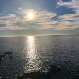 Meet your Posher, Sienna